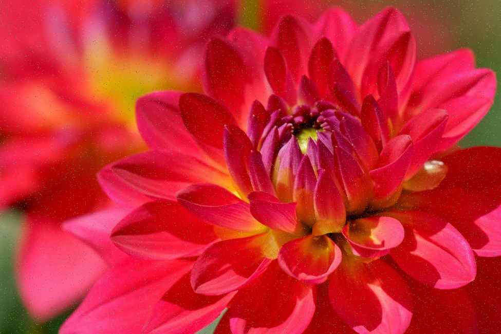 Foto 9 aus Allgemeinde Bilder - Professionelle Fotografie von CaptureBookDE