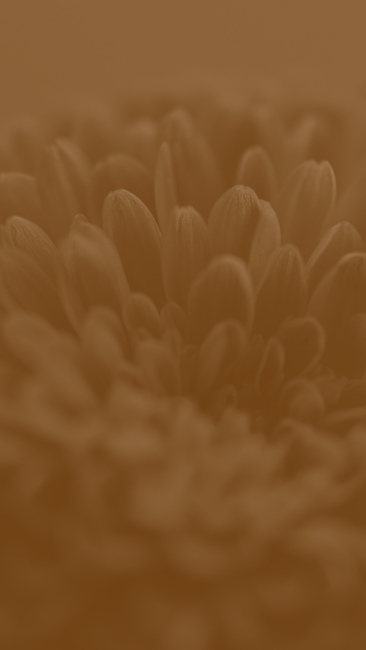 Foto 4 aus Allgemeinde Bilder - Professionelle Fotografie von CaptureBookDE