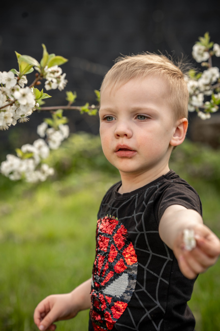 Foto 14 aus Kirschbaum - BEE - Professionelle Fotografie von AndreaGebing