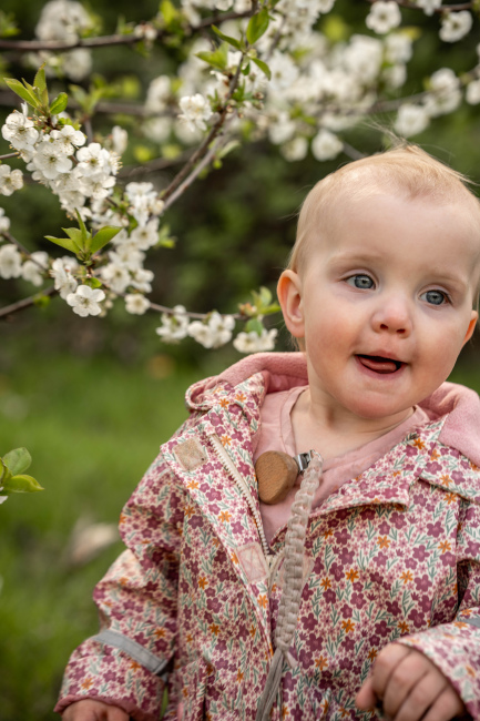 Foto 19 aus Kirschbaum - BEE - Professionelle Fotografie von AndreaGebing