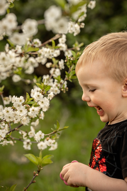 Foto 3 aus Kirschbaum - BEE - Professionelle Fotografie von AndreaGebing