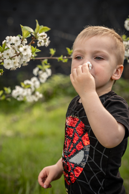 Foto 15 aus Kirschbaum - BEE - Professionelle Fotografie von AndreaGebing