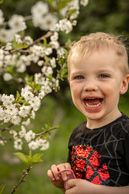 Foto 4 aus Kirschbaum - BEE - Professionelle Fotografie von AndreaGebing