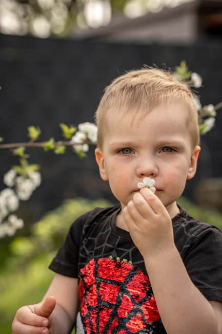 Foto 13 aus Kirschbaum - BEE - Professionelle Fotografie von AndreaGebing