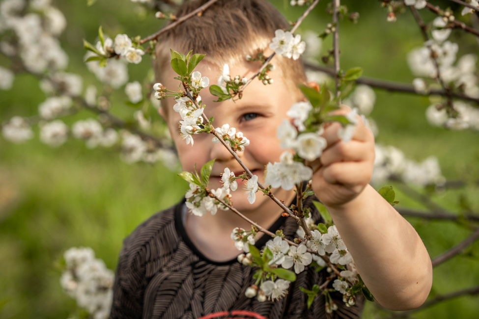 Foto 10 aus Kirschbaum - BEE - Professionelle Fotografie von AndreaGebing