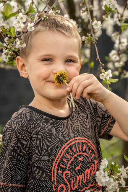 Foto 6 aus Kirschbaum - BEE - Professionelle Fotografie von AndreaGebing
