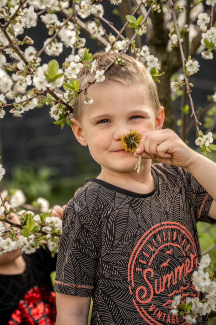 Foto 8 aus Kirschbaum - BEE - Professionelle Fotografie von AndreaGebing