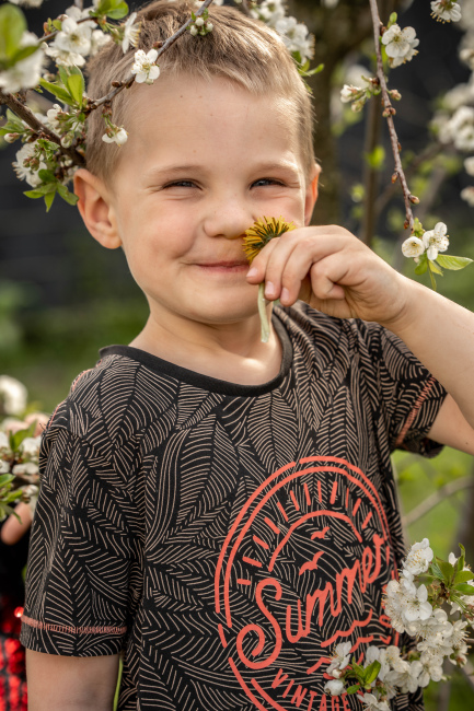 Foto 7 aus Kirschbaum - BEE - Professionelle Fotografie von AndreaGebing