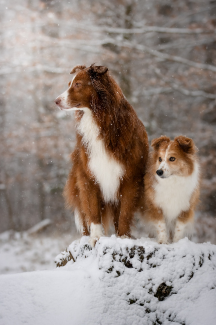 Foto 3 aus 2026 - Professionelle Fotografie von picturesofmemories