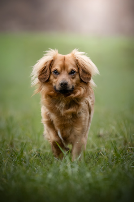 Foto 6 aus 2026 - Professionelle Fotografie von picturesofmemories