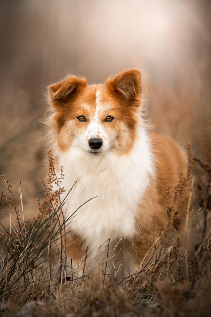 Foto 9 aus 2026 - Professionelle Fotografie von picturesofmemories