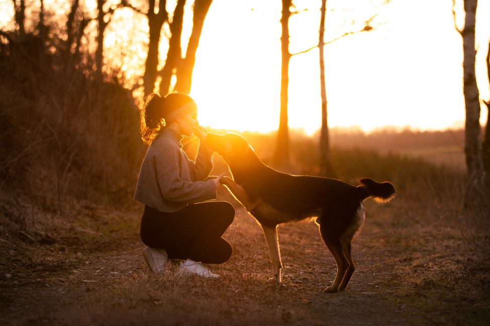 Foto 17 aus 2026 - Professionelle Fotografie von picturesofmemories