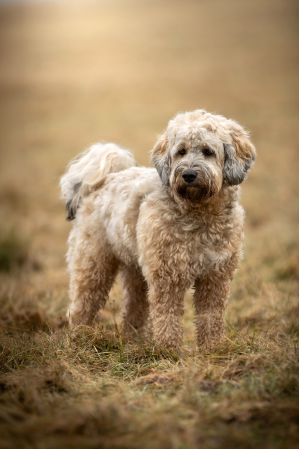 Foto 20 aus 2026 - Professionelle Fotografie von picturesofmemories