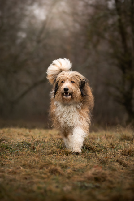 Foto 15 aus 2026 - Professionelle Fotografie von picturesofmemories