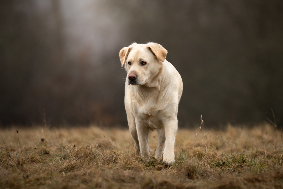 Foto 4 aus 2026 - Professionelle Fotografie von picturesofmemories