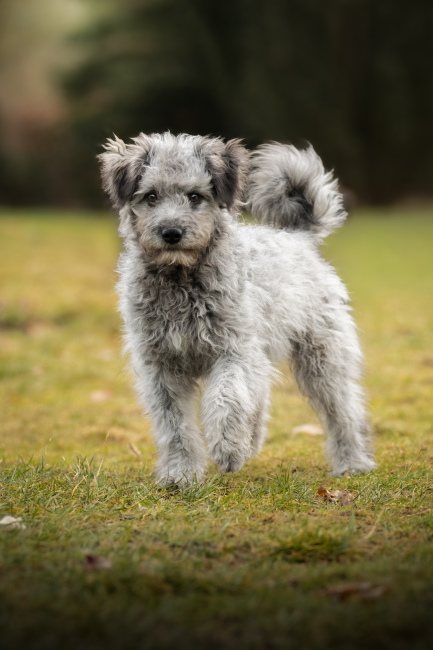 Foto 11 aus 2026 - Professionelle Fotografie von picturesofmemories