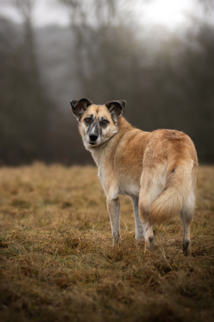 Foto 8 aus 2026 - Professionelle Fotografie von picturesofmemories