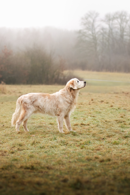 Foto 13 aus 2026 - Professionelle Fotografie von picturesofmemories