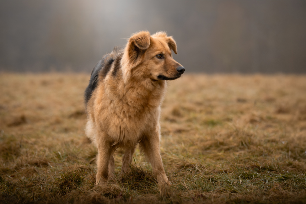 Foto 12 aus 2026 - Professionelle Fotografie von picturesofmemories