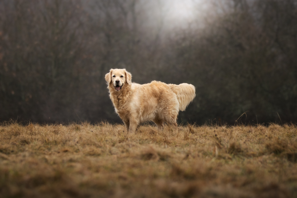 Foto 17 aus 2026 - Professionelle Fotografie von picturesofmemories