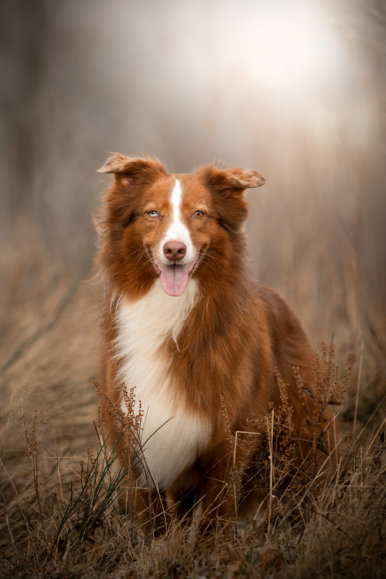 Foto 18 aus 2026 - Professionelle Fotografie von picturesofmemories