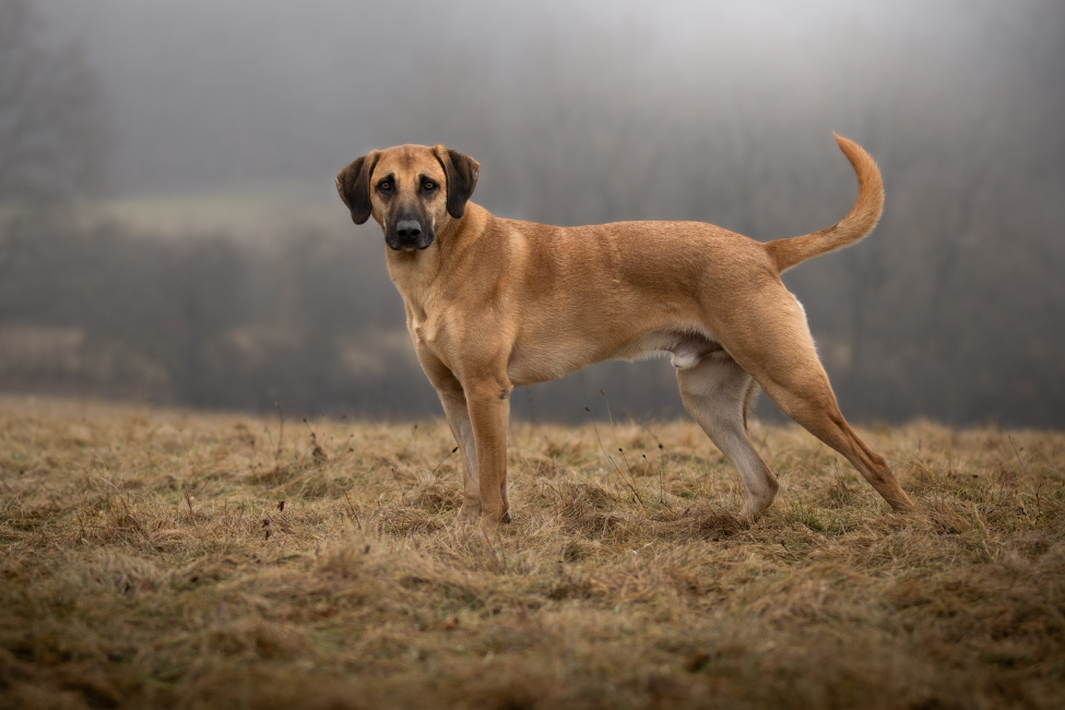 Foto 14 aus 2026 - Professionelle Fotografie von picturesofmemories