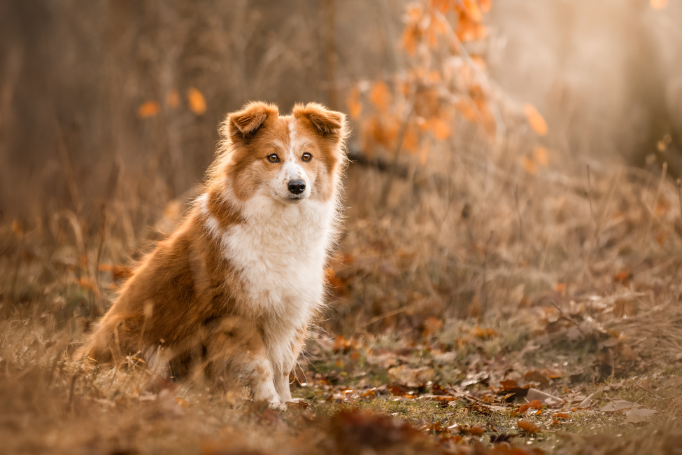 Foto 4 aus 2026 - Professionelle Fotografie von picturesofmemories