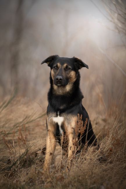 Foto 5 aus 2026 - Professionelle Fotografie von picturesofmemories