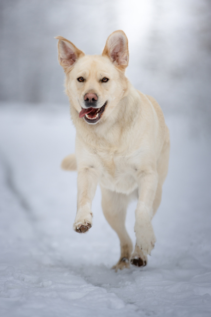 Foto 10 aus 2026 - Professionelle Fotografie von picturesofmemories