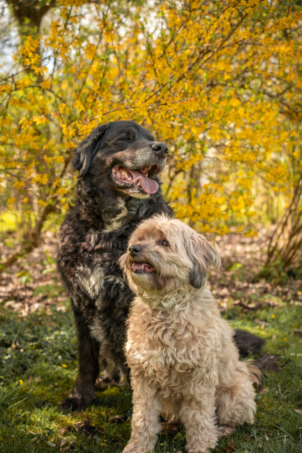 Foto 20 aus Max & Milo - Professionelle Fotografie von AndreaGebing