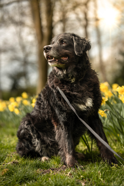 Foto 5 aus Max & Milo - Professionelle Fotografie von AndreaGebing