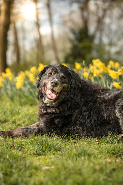 Foto 11 aus Max & Milo - Professionelle Fotografie von AndreaGebing