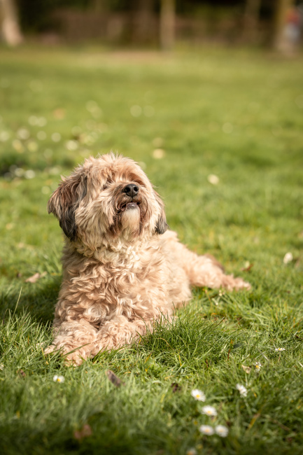 Foto 15 aus Max & Milo - Professionelle Fotografie von AndreaGebing