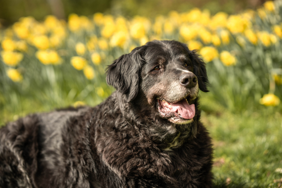 Foto 8 aus Max & Milo - Professionelle Fotografie von AndreaGebing
