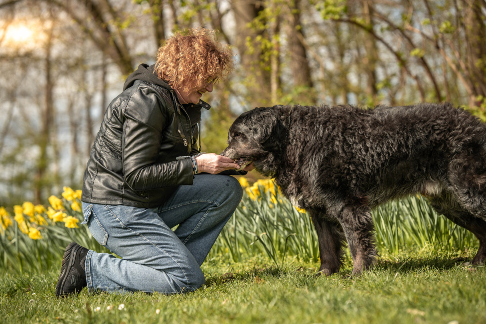 Foto 10 aus Max & Milo - Professionelle Fotografie von AndreaGebing