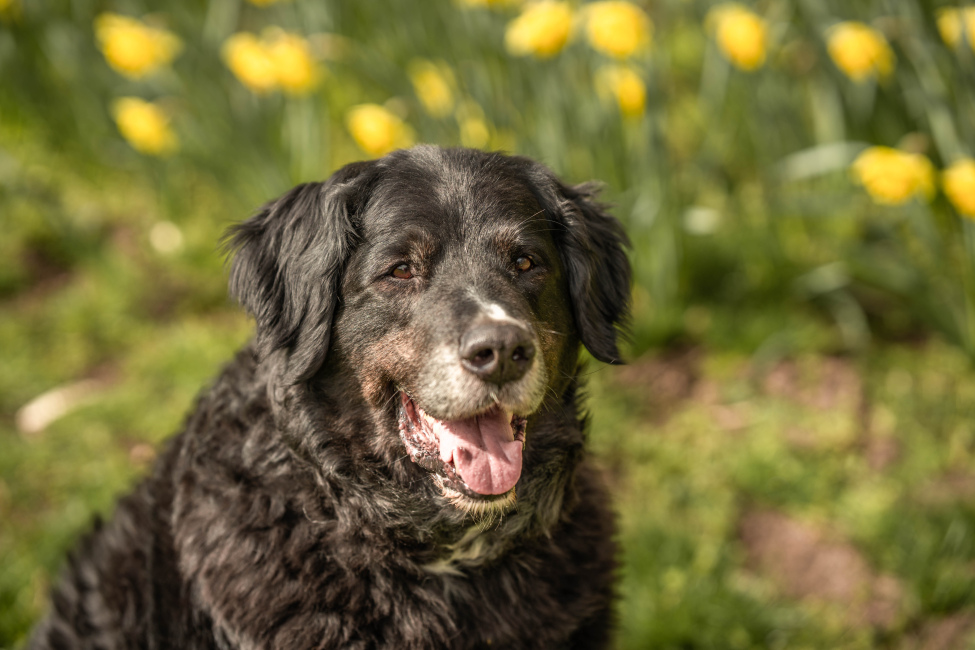 Foto 9 aus Max & Milo - Professionelle Fotografie von AndreaGebing