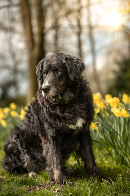 Foto 4 aus Max & Milo - Professionelle Fotografie von AndreaGebing