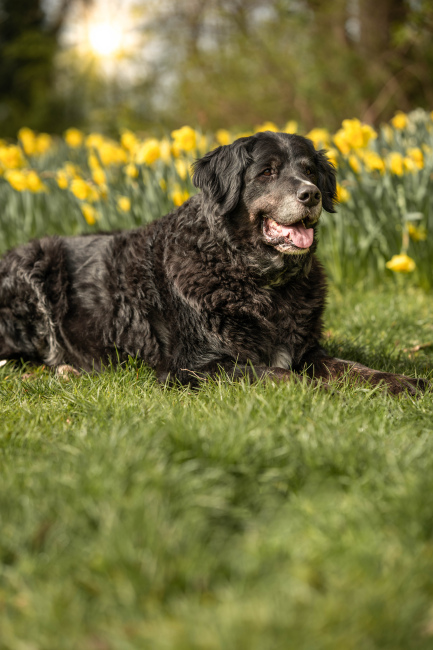 Foto 7 aus Max & Milo - Professionelle Fotografie von AndreaGebing