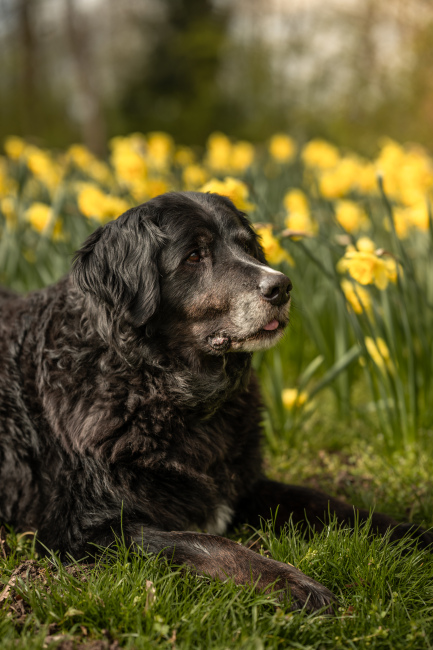 Foto 3 aus Max & Milo - Professionelle Fotografie von AndreaGebing