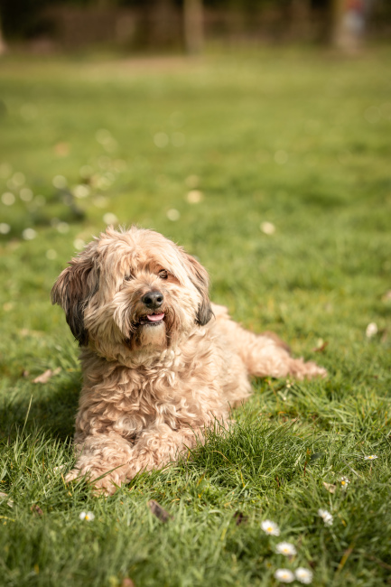 Foto 14 aus Max & Milo - Professionelle Fotografie von AndreaGebing
