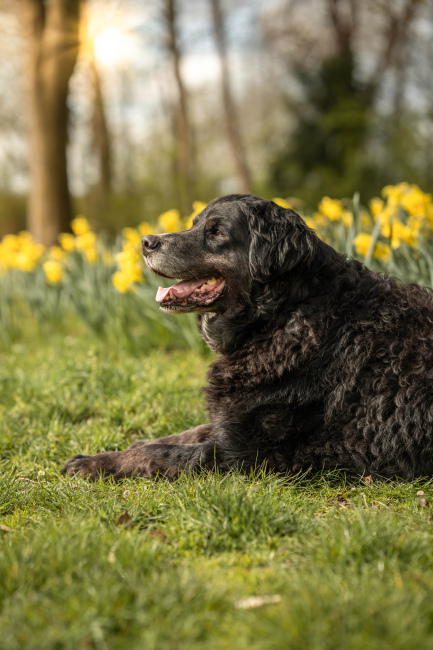 Foto 13 aus Max & Milo - Professionelle Fotografie von AndreaGebing