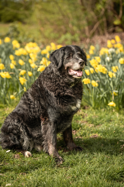 Foto 6 aus Max & Milo - Professionelle Fotografie von AndreaGebing