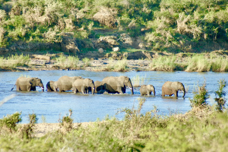 Bild 0L5Hcfg4QiMCfxFjMUhXMx5MYzezXsc7Px3FXnSO