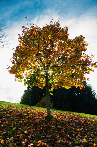 Bild 3EbuwIxe8nrFSF6KWE7yr66fPrqIuH1MME7qLajr