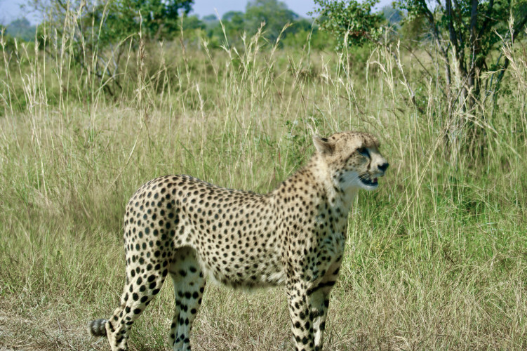 Bild 9MXnZdsL613jXw4IsetSyGDzrY9vZv0it6nsHc8j