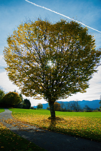 Bild INwT5oFYyXfPksMjgkrVM85tBLY8MwAG2fFHMaNJ