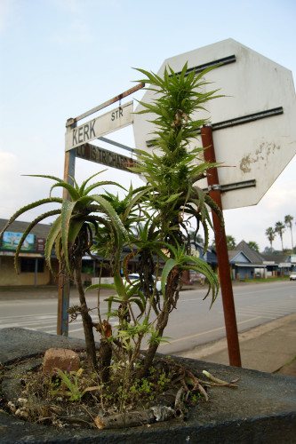 Bild Lmsd1OFpi97KOoAqzDgSCuE4yp7SoC1vTcAZe5eI