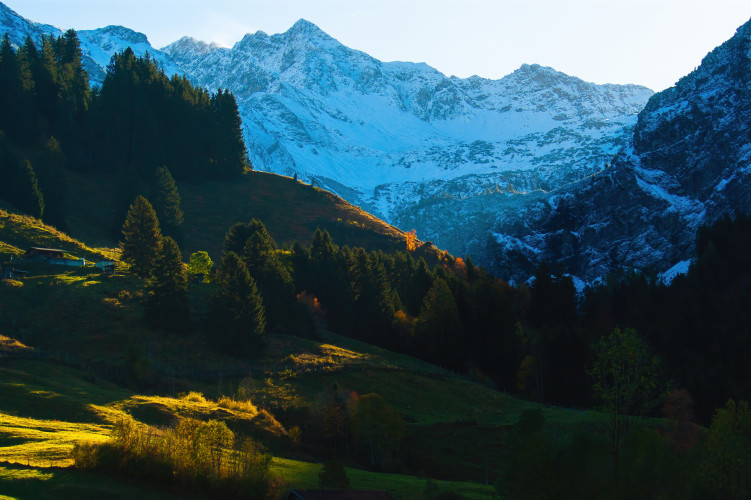 Bild OFvhv2SNPiPdcur6t42yWwxTIVNwUE4ySpbjJlAw