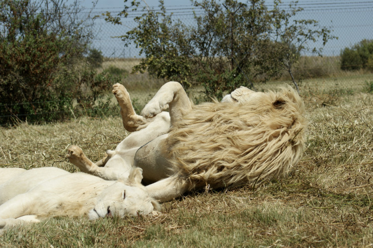 Bild PEKP2g6DBm15gUQjchwjaaoVTHL8558mYnIVPrkJ