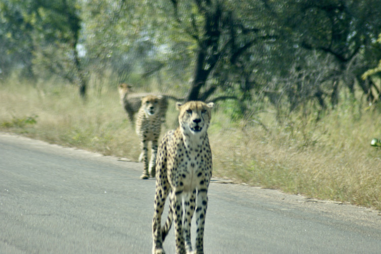 Bild VB5O6Z4B3wYH1P2hpyvF5BvBIe658dEDpBXMZN8z